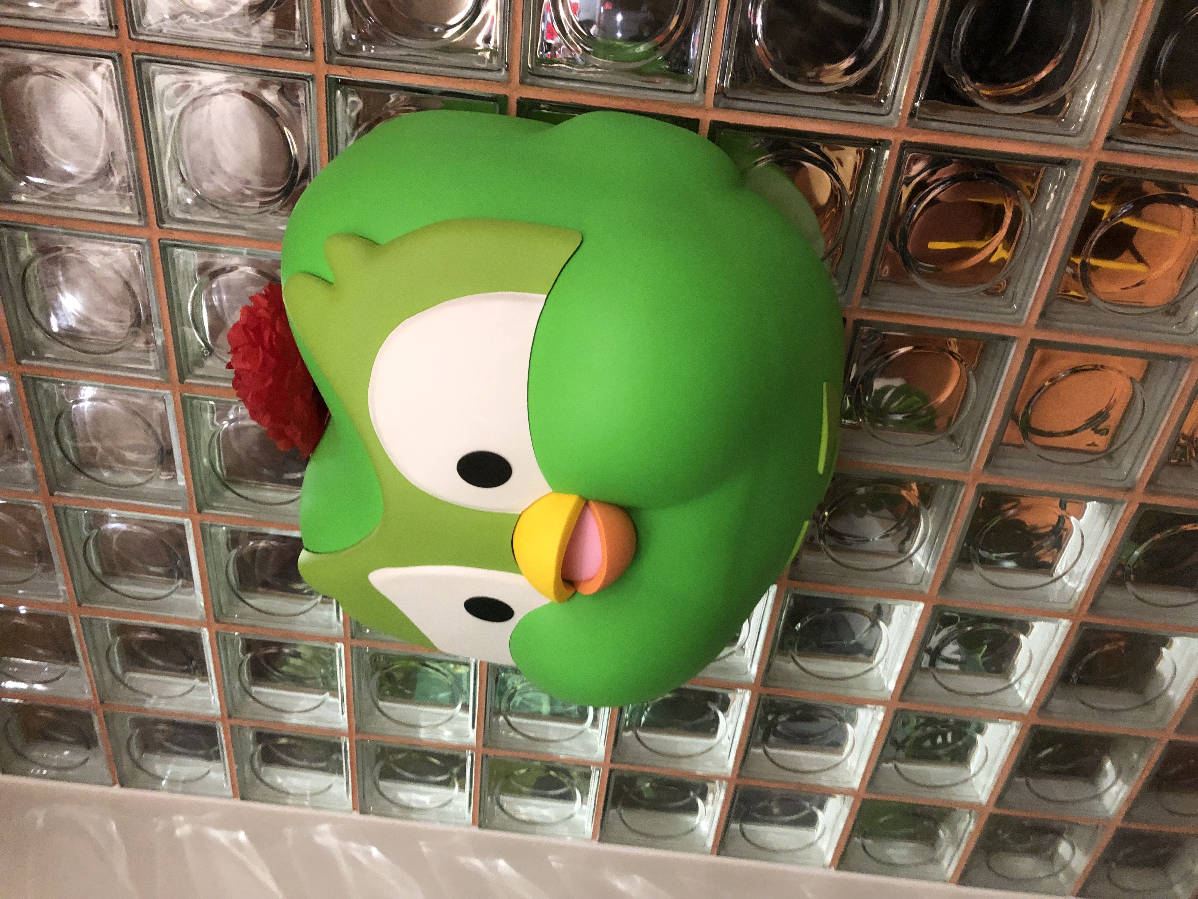 duolingo bird's front