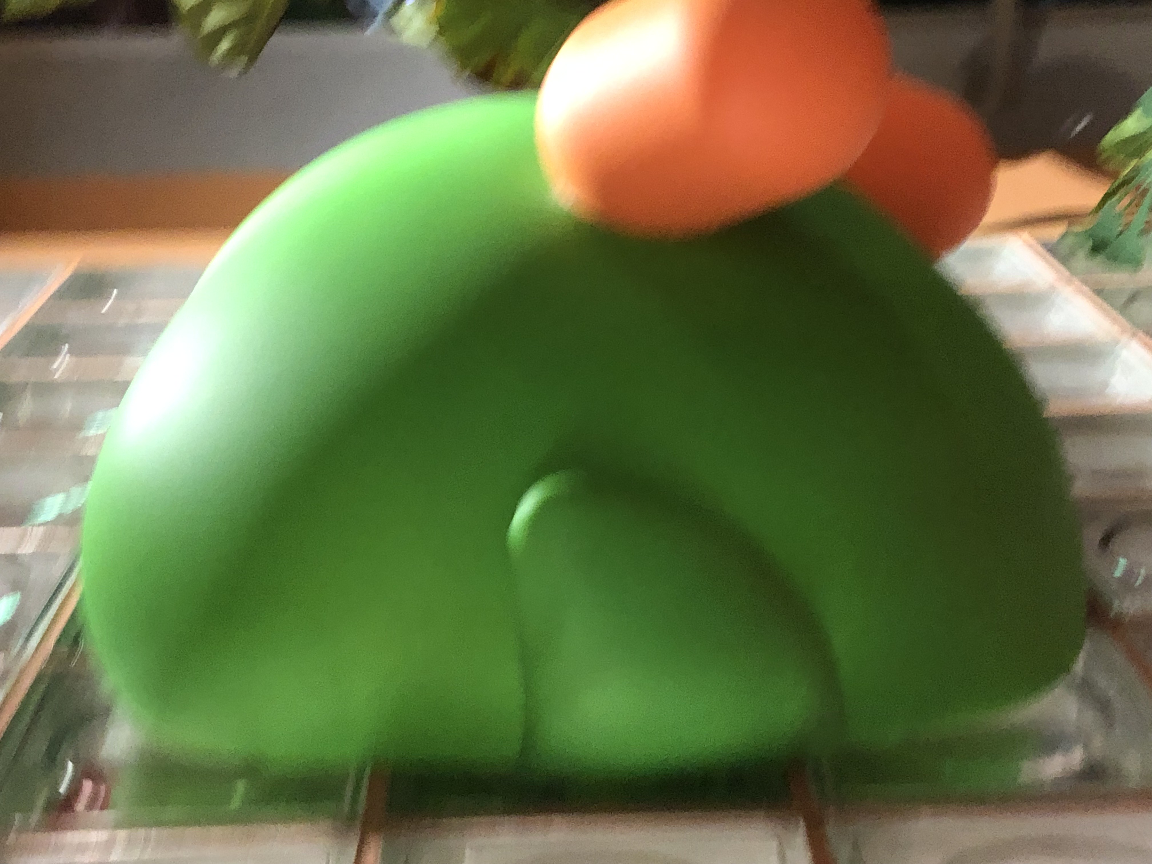 duolingo bird's behind